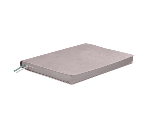 Ежедневник Avila, недатированный, серый