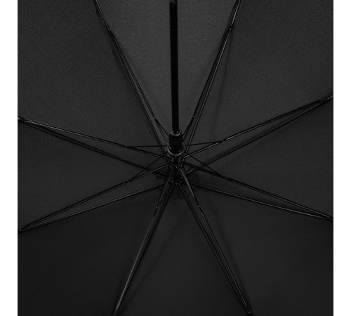 Зонт-трость Jolly Brolly, черный