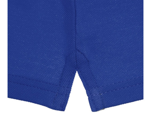 Рубашка поло мужская Virma Premium, ярко-синяя (royal)