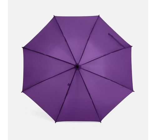 Зонт-трость Standard, фиолетовый