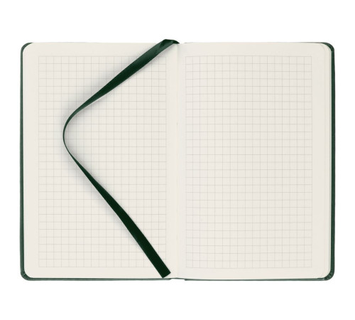 Блокнот Cluster Mini в клетку, зеленый