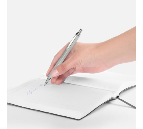 Ручка шариковая Alumno, серая