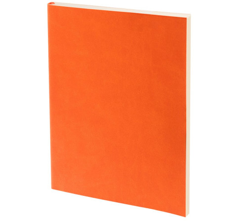 Ежедневник Flat Light, недатированный, оранжевый