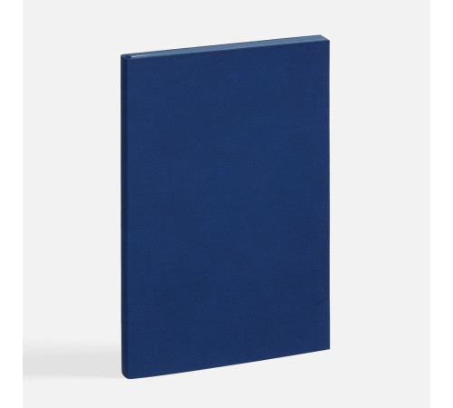 Ежедневник Flat, недатированный, синий, ver.2