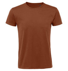 Футболка мужская Regent Fit 150, коричневая (терракотовая)