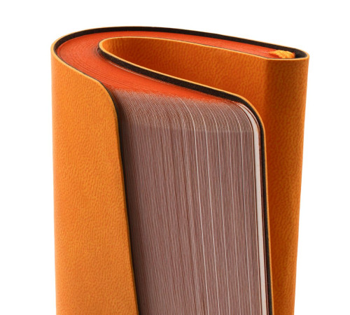 Ежедневник Neat Mini, недатированный, оранжевый