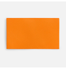 Лейбл тканевый Epsilon, M, оранжевый неон