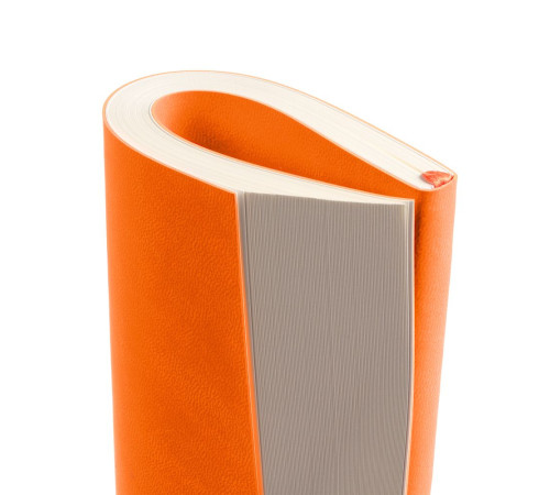 Ежедневник Flat Light, недатированный, оранжевый