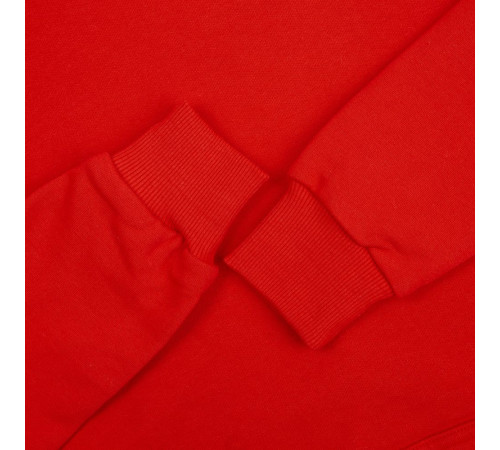 Толстовка с капюшоном Kirenga Heavy, красная (алая)