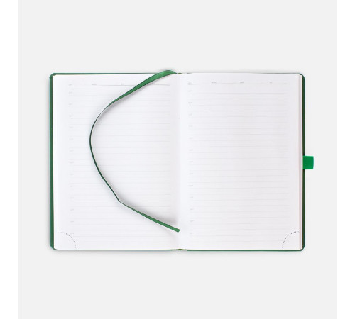 Ежедневник Favor Gold, недатированный, ярко-зеленый