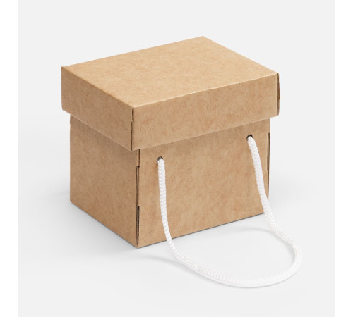 Набор Forestour