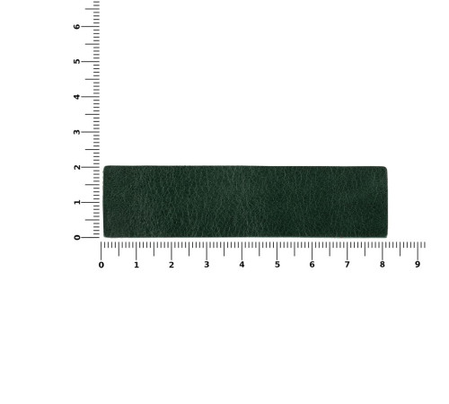 Лейбл кожаный Pasek, зеленый