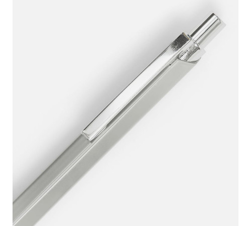 Ручка шариковая Alumno, серая