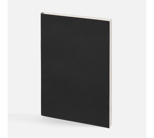 Ежедневник Flat Light, недатированный, черный