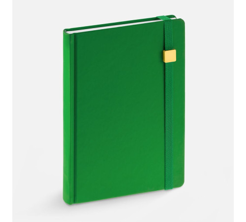 Ежедневник Favor Gold, недатированный, ярко-зеленый