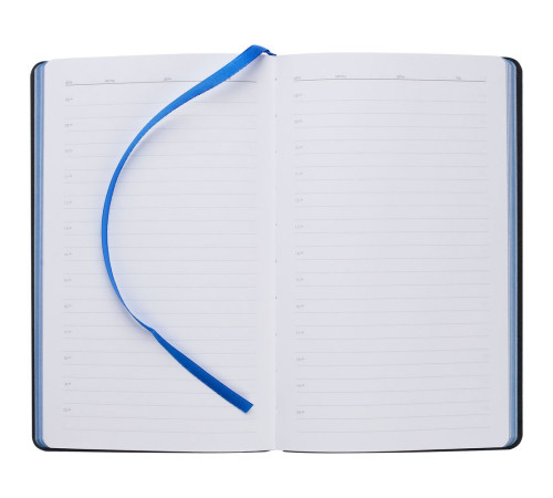 Ежедневник Nice Twice, недатированный, черный с синим