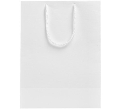 Пакет бумажный «Крафт», M, белый