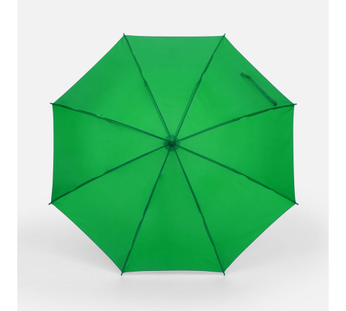 Зонт-трость Promo, зеленый