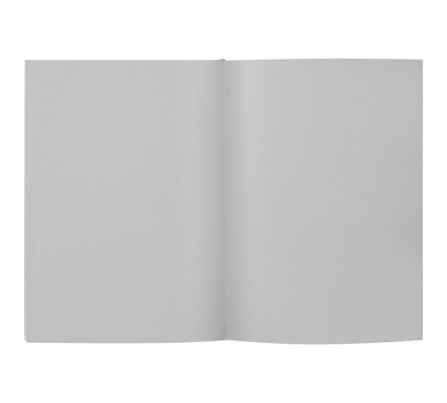 Ежедневник Flat, недатированный, серый