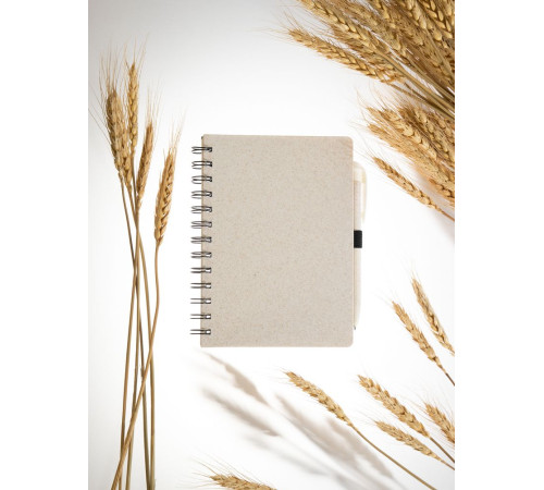 Блокнот на спирали Intrigo, белый