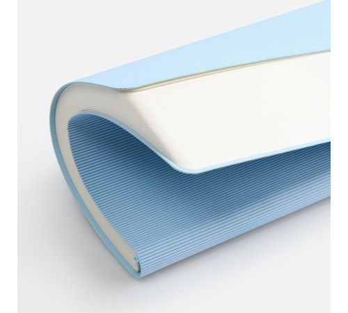 Ежедневник Vale New, недатированный, голубой