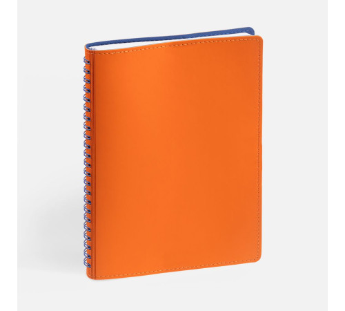 Ежедневник Spring Shall, недатированный, оранжевый