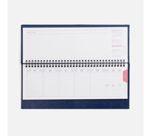 Планинг Faro, датированный, синий