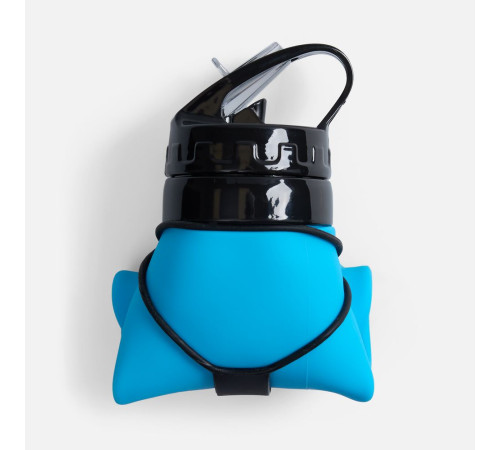 Складная бутылка для воды Langfossen, голубая