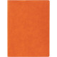 Ежедневник в суперобложке Brave Book, недатированный, оранжевый