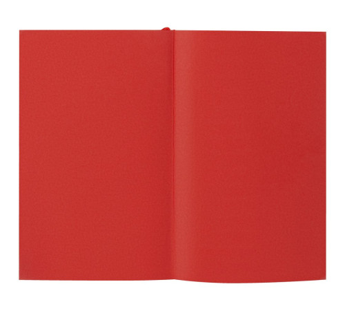Ежедневник Flat Mini, недатированный, красный