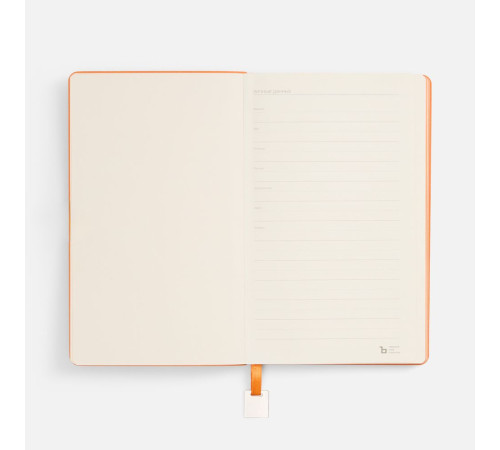 Ежедневник Shall Light, недатированный, оранжевый