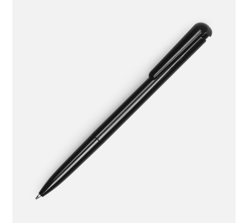 Ручка шариковая Penpal, черная