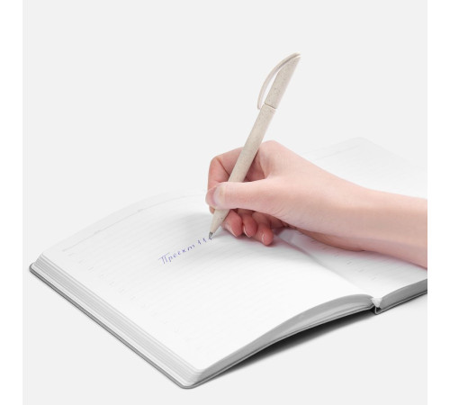 Ручка шариковая Prodir DS3 ECO