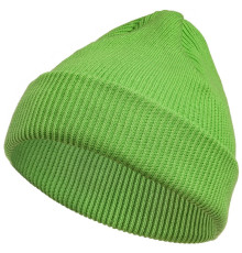 Шапка Life Explorer, зеленая (салатовая)