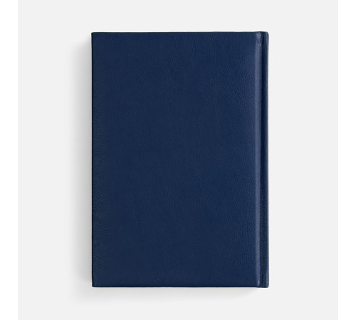 Ежедневник Baza, датированный, синий