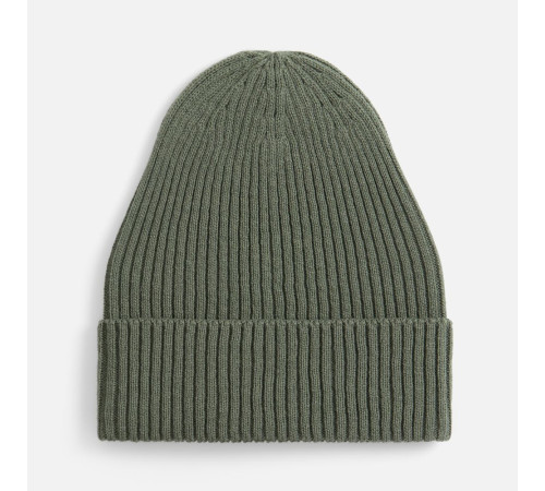 Шапка Catch Match без помпона, зеленая (полынь)
