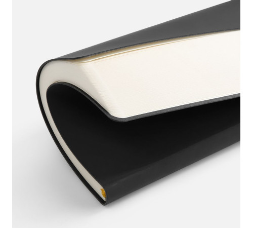 Ежедневник Flex Shall New, недатированный, черный