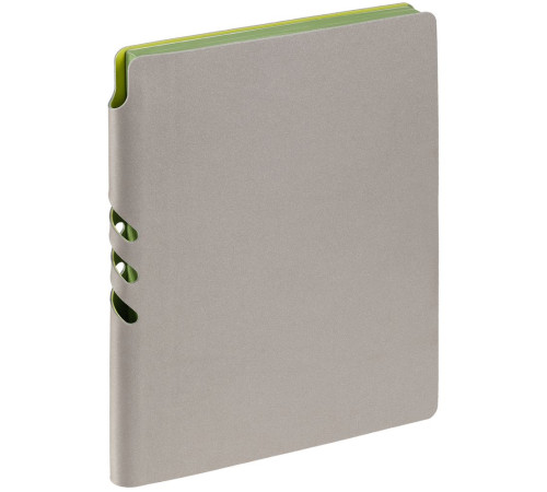 Ежедневник Flexpen, недатированный, серебристо-зеленый