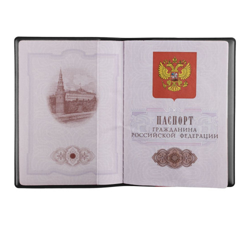 Обложка для паспорта Dorset, черная