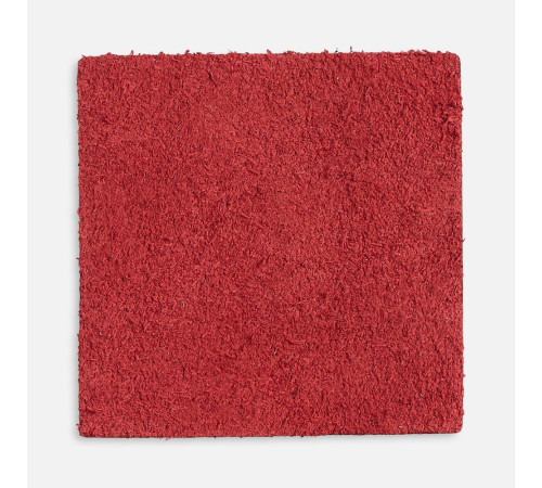 Лейбл кожаный Pasek, L, красный