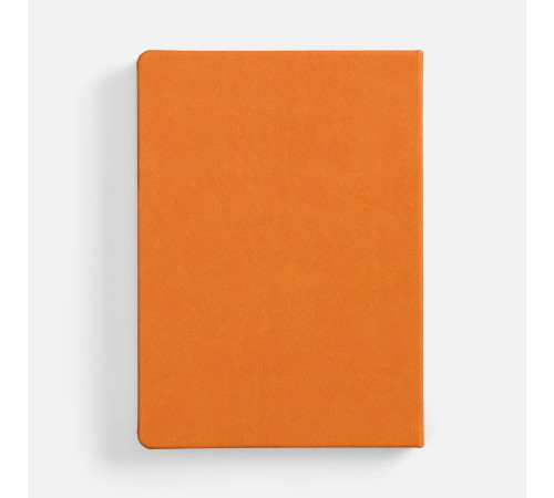 Ежедневник Basis, датированный, оранжевый