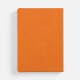 Ежедневник Basis, датированный, оранжевый