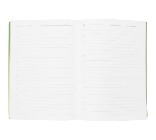 Ежедневник Flexpen, недатированный, серебристо-зеленый