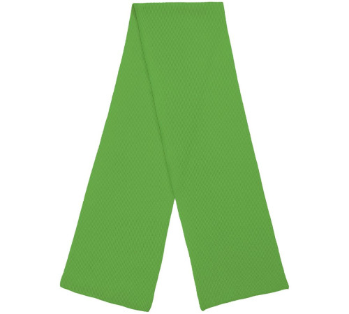 Шарф Life Explorer, зеленый (салатовый)