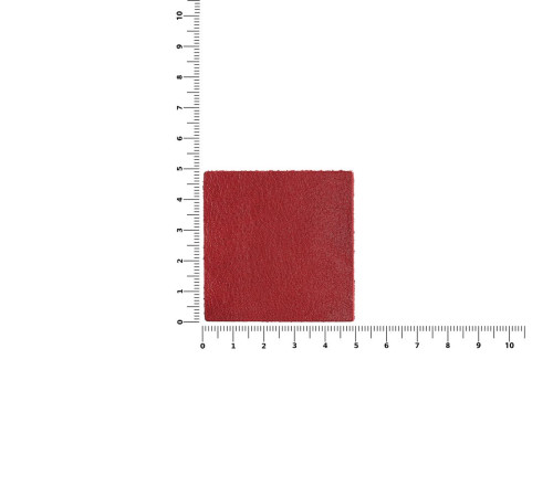 Лейбл кожаный Pasek, L, красный