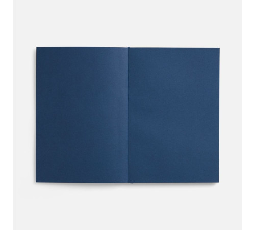 Ежедневник Flat, недатированный, синий, ver.2