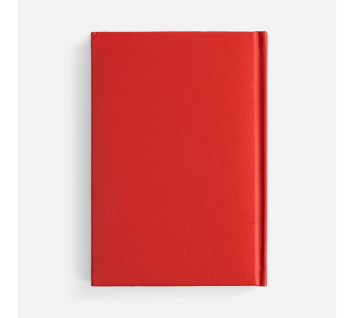 Ежедневник Baza, датированный, красный