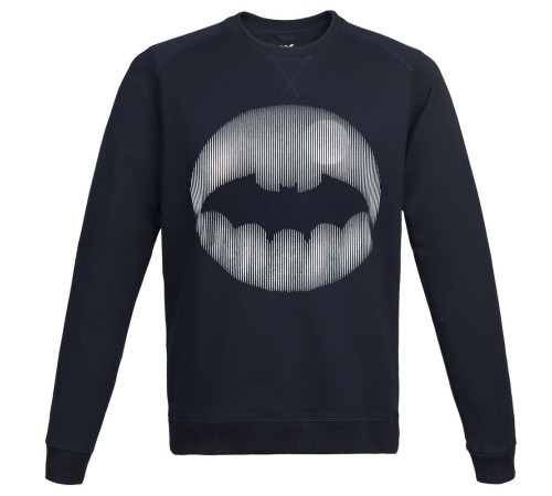 Свитшот мужской Letucci Silver, синий