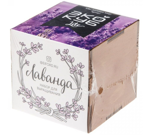 Набор для выращивания «Экокуб Lite», лаванда