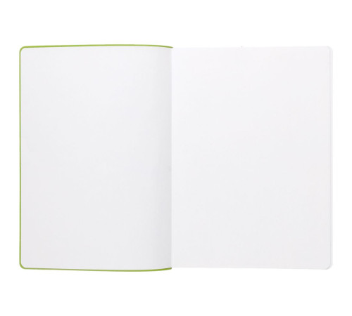 Ежедневник Flexpen, недатированный, серебристо-зеленый